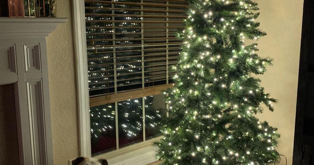 7.5 ft Broyhill Spruce Christmas Tree for 105 in Pelham, AL For Sale