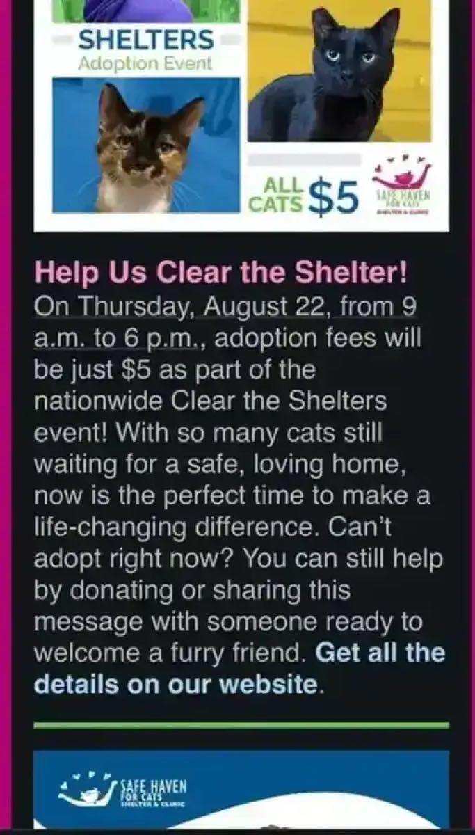 $5 clear the shelters