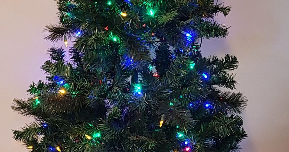 Christmas Tree for Free in Rehoboth Beach, DE For Sale & Free — Nextdoor
