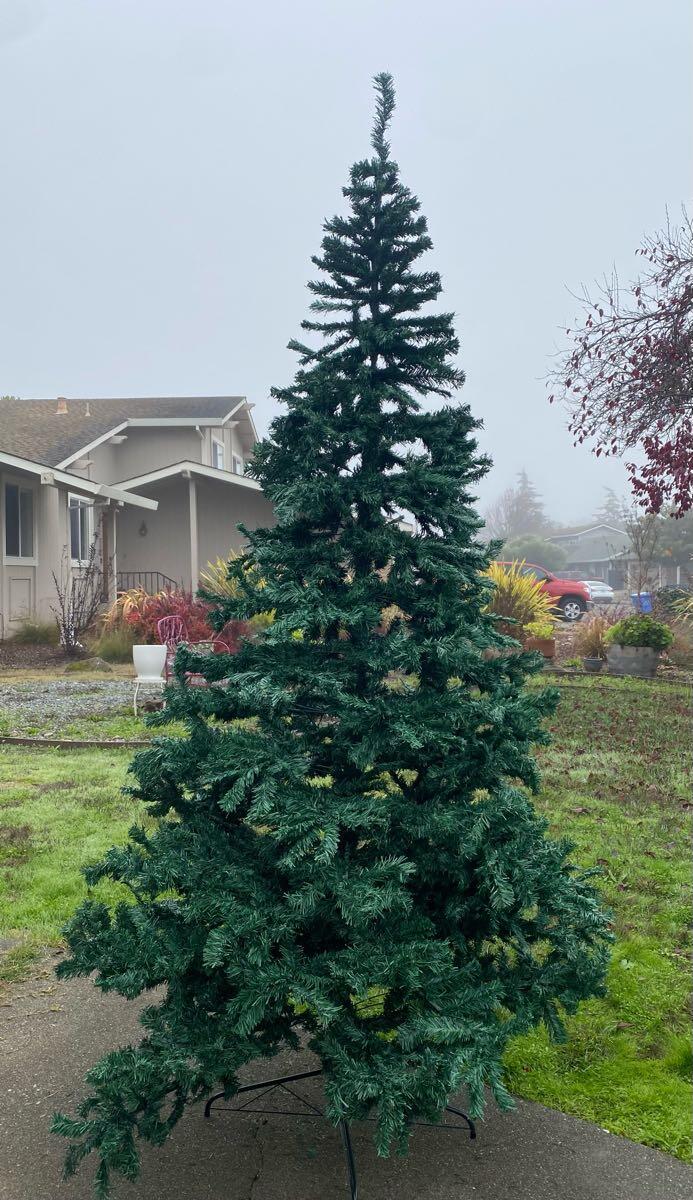 LAST ONE 9 ft Christmas tree for 50 in Rohnert Park, CA For Sale