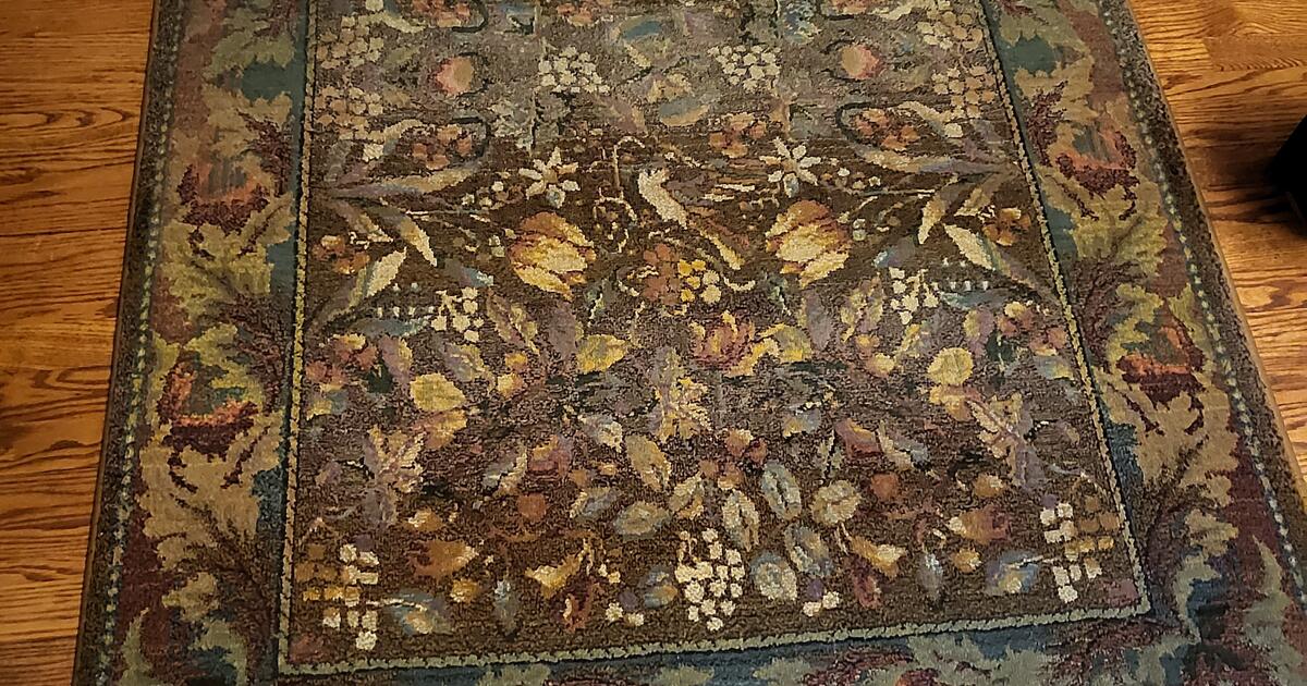 2 (4×6 size) area rugs for 30 in Mount Pleasant, WI For Sale & Free