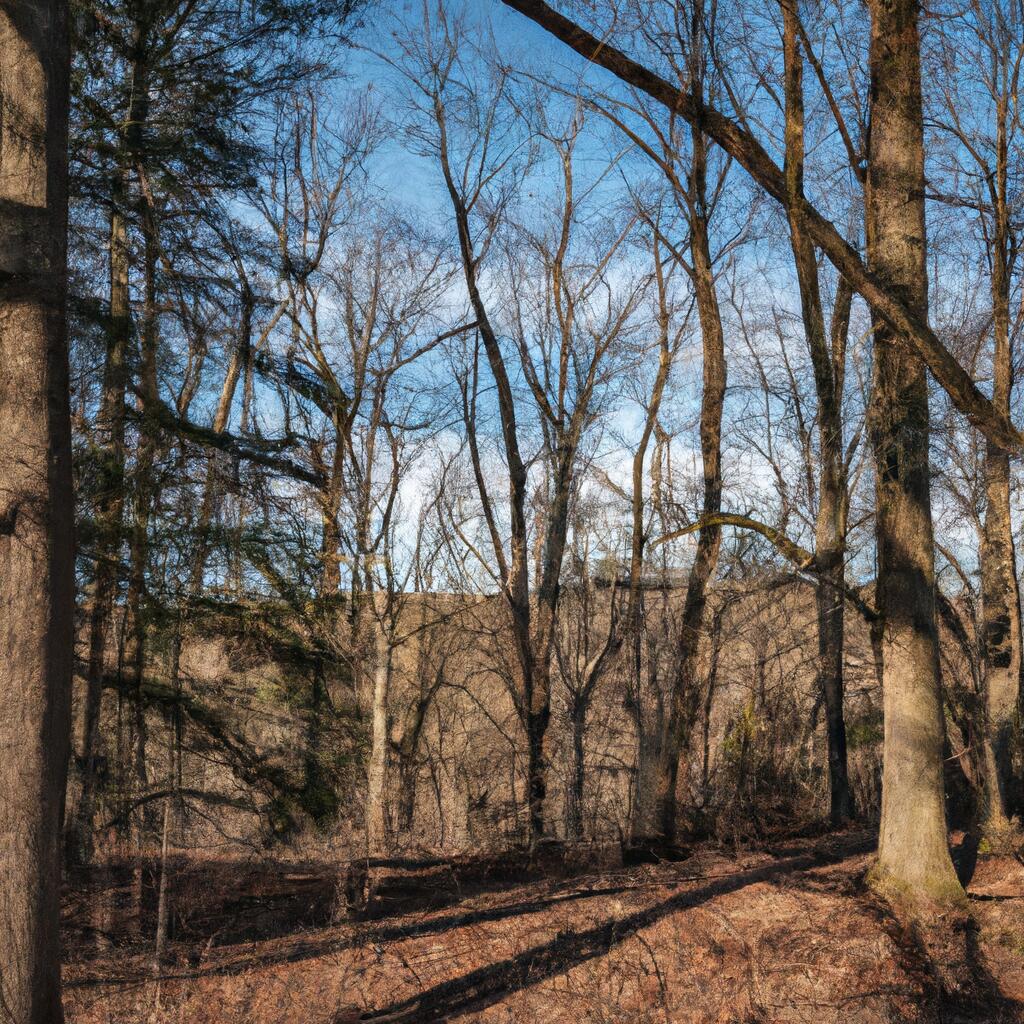 Brownlee Woods, Youngstown News, Crime, Lost Pets, Free Stuff