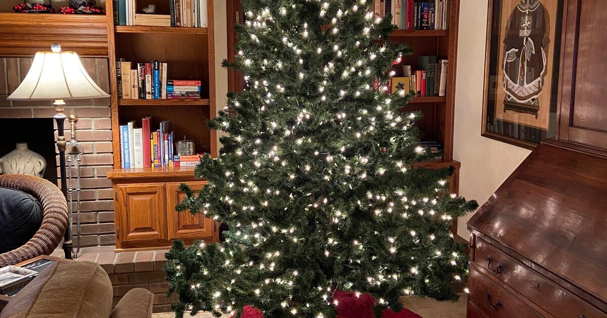 8' Barcana (from Shinoda) Christmas tree UNLIT for Free in Laguna