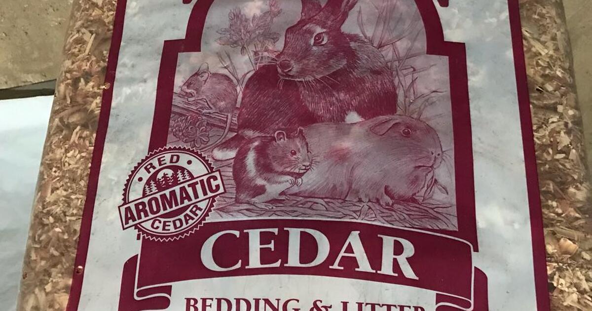 Cedar chips for rabbit, hamster. for Free in Newark, DE Finds — Nextdoor