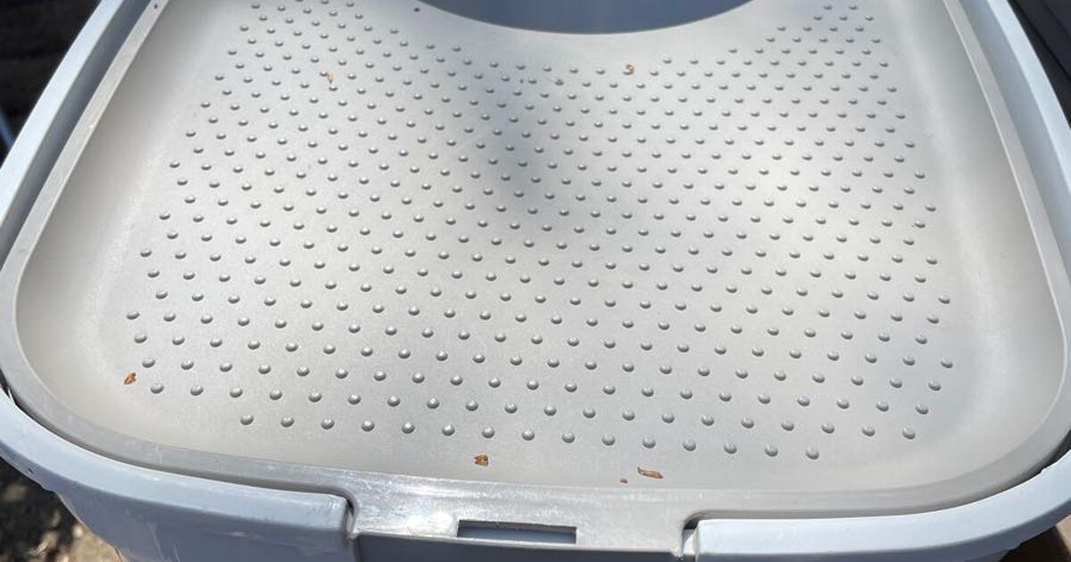 Frisco top entry large litter box for 15 in Placerville, CA For Sale