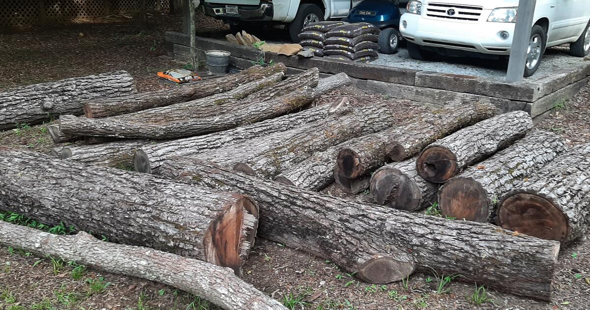 Black Walnut Logs for Free in Ellijay, GA For Sale & Free — Nextdoor