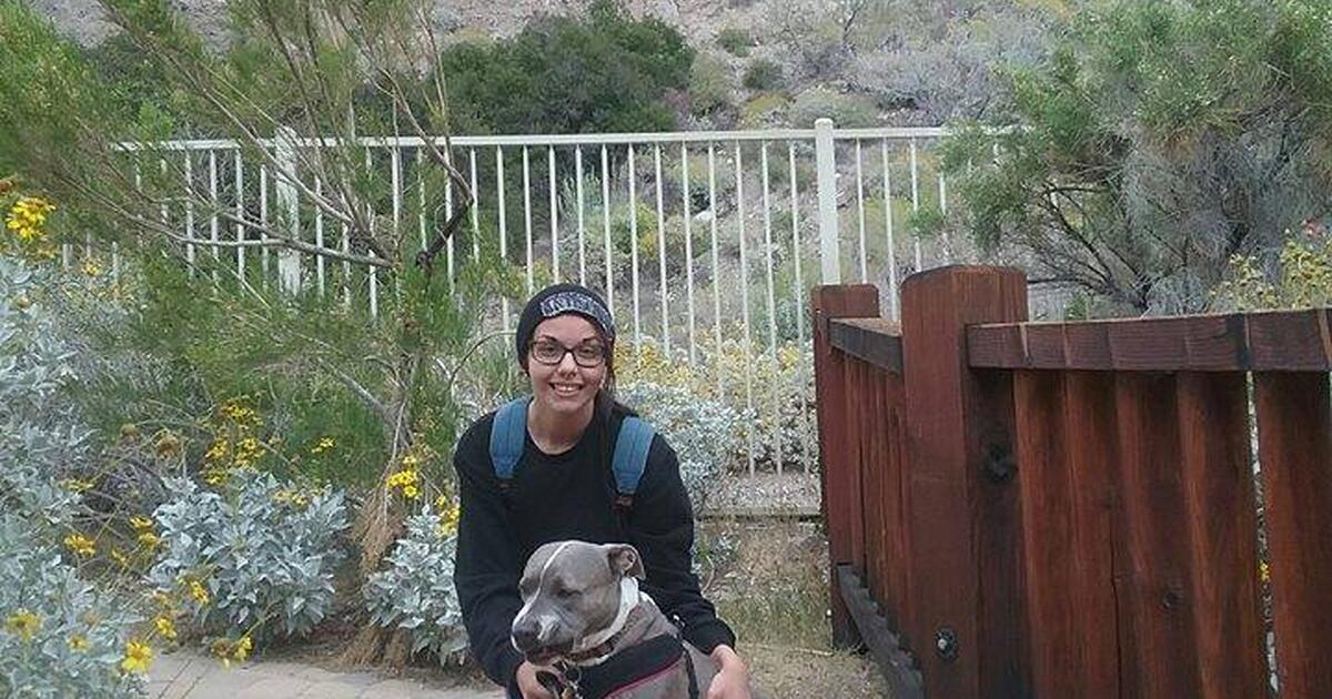 Yucca Valley Pet Care in Yucca Valley, CA For Sale & Free — Nextdoor