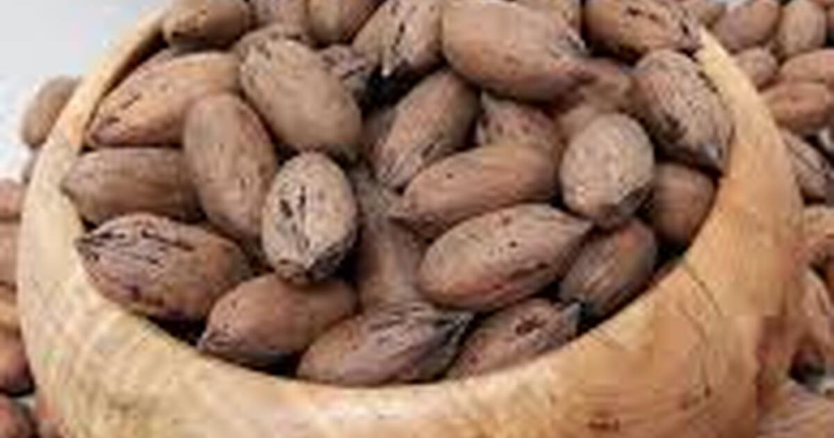 Fresh Pecans for 5 in San Antonio, TX For Sale & Free — Nextdoor