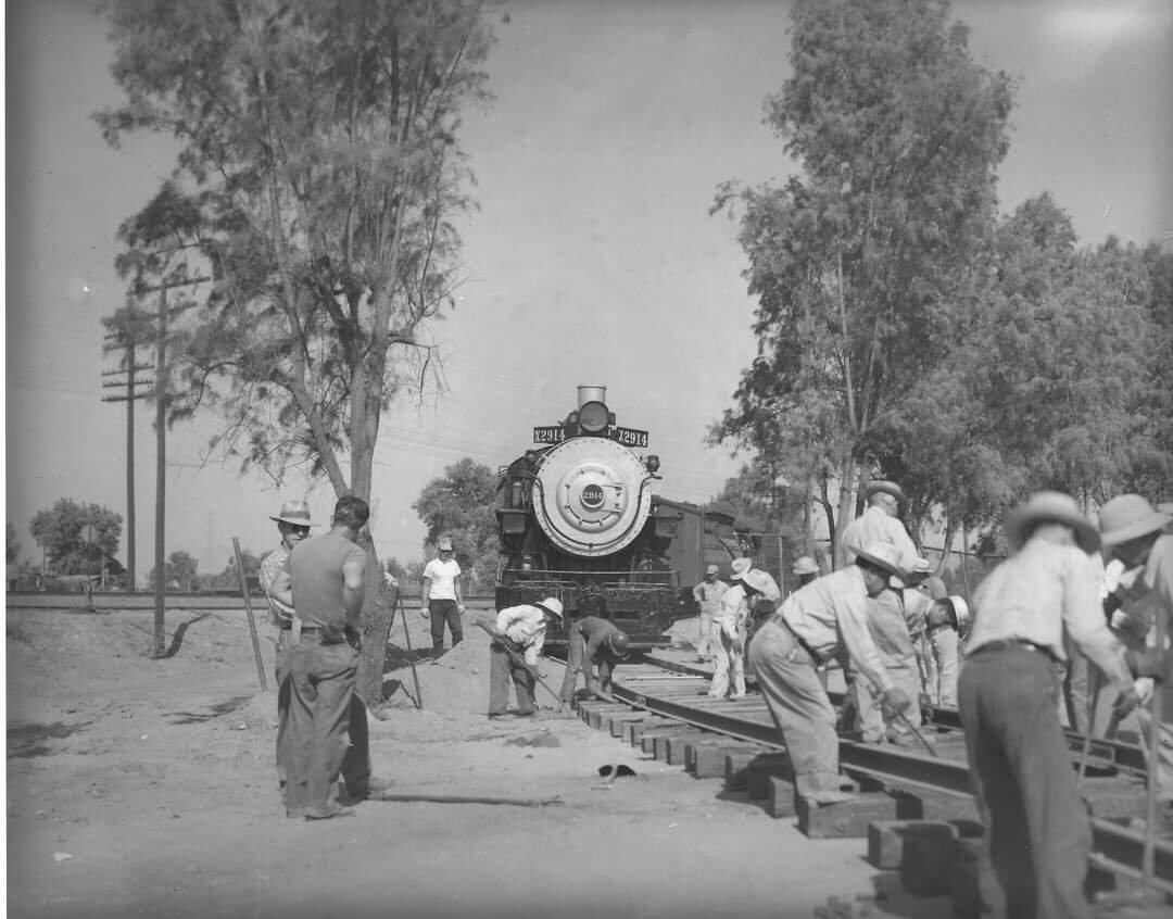 San Lauren, Bakersfield News, Crime, Lost Pets, Free Stuff