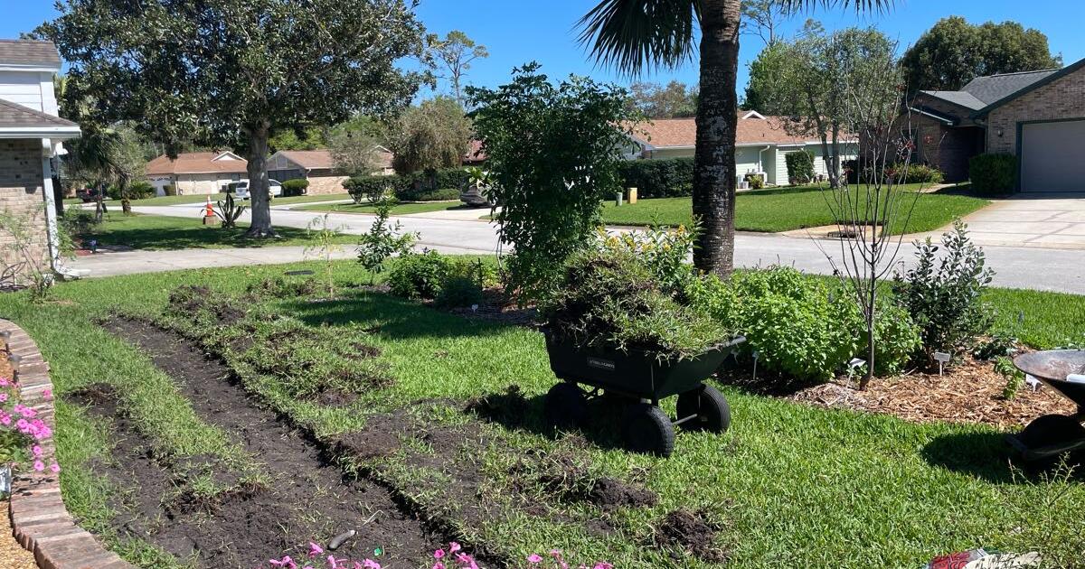 Free sod for Free in Ormond Beach, FL | For Sale & Free — Nextdoor