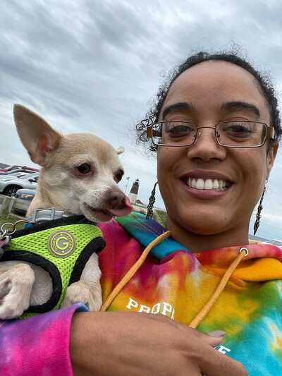 Banfield dog teeth cleaning 2025