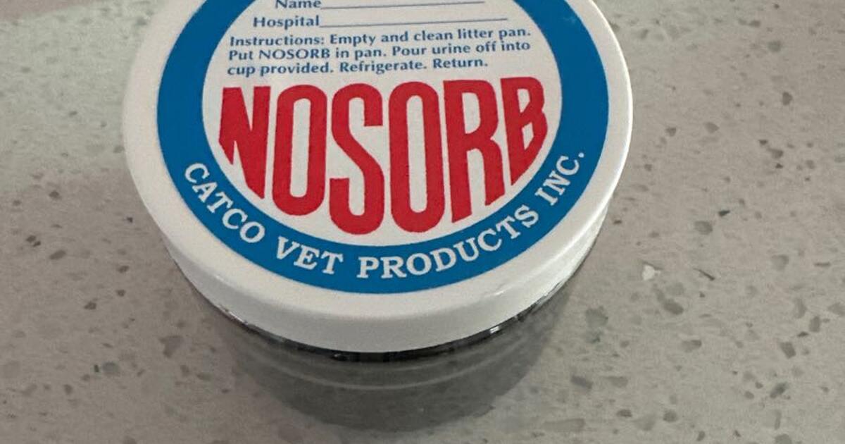 Nosorb For Collecting Cat Urine For Testing Free. Message For Address For Free In Orl o FL For Sale Free Nextdoor