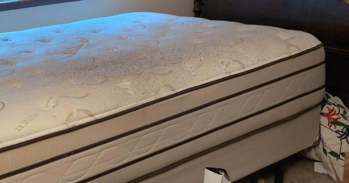 Free Used Queen w/boxspring & Frame for Free in Olympia, WA For Sale