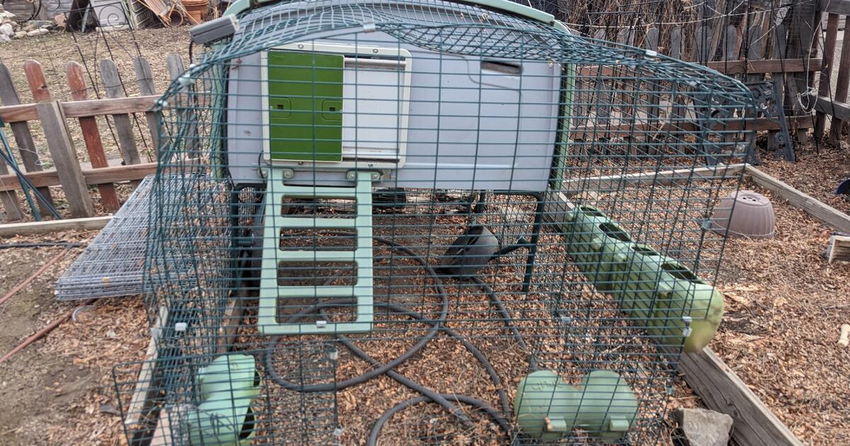 Used EGLU OMLET CHICKEN COOP with autodoor for $450 in Denver, CO | For ...