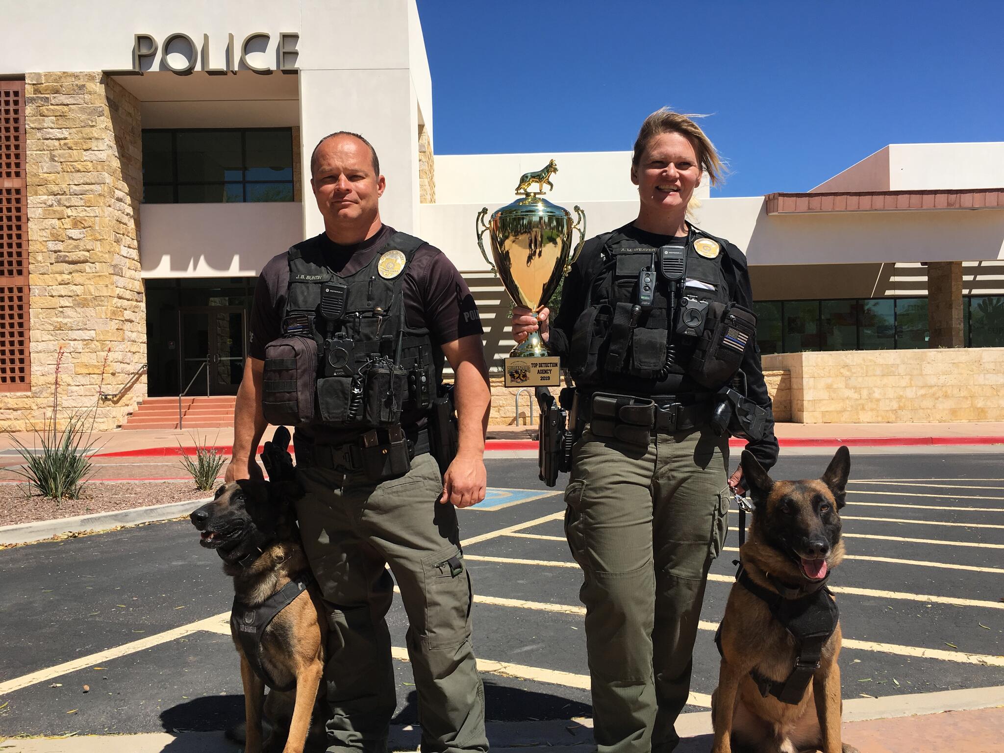 Police Activity In Surprise Az Today