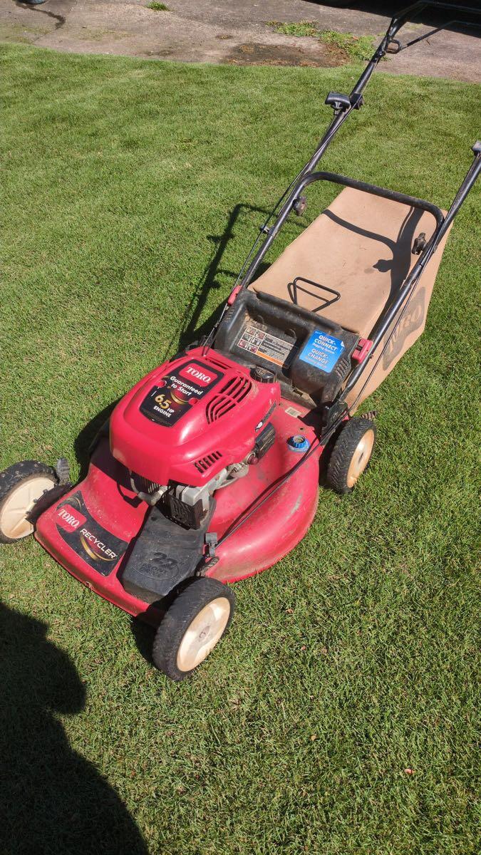 Wavetree Drive, Roswell Everything You Need to Know