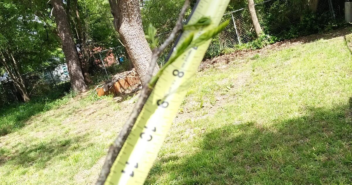 Does anyone have some free grass seed for my recovering back lawn? for