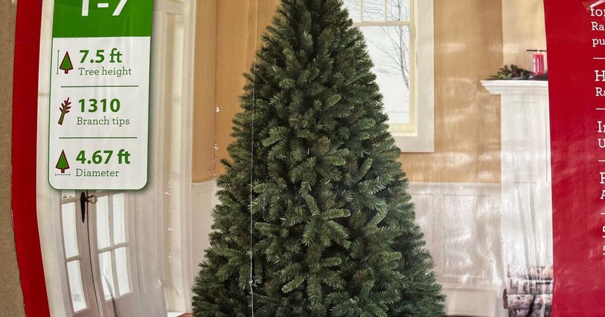 Christmas Tree for 25 in Greeley, CO For Sale & Free — Nextdoor