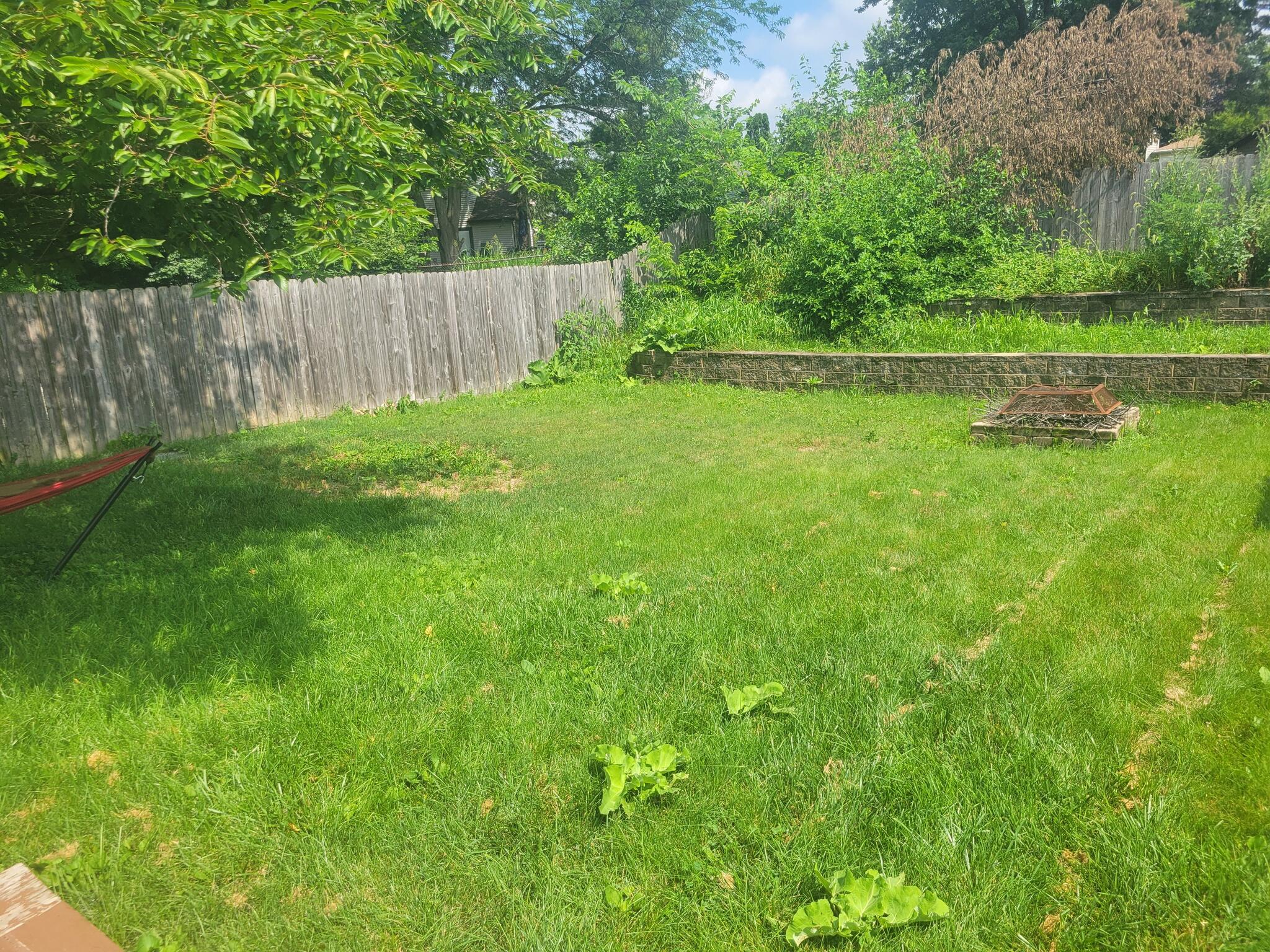 IAN Lawn Care - Dublin, OH - Nextdoor