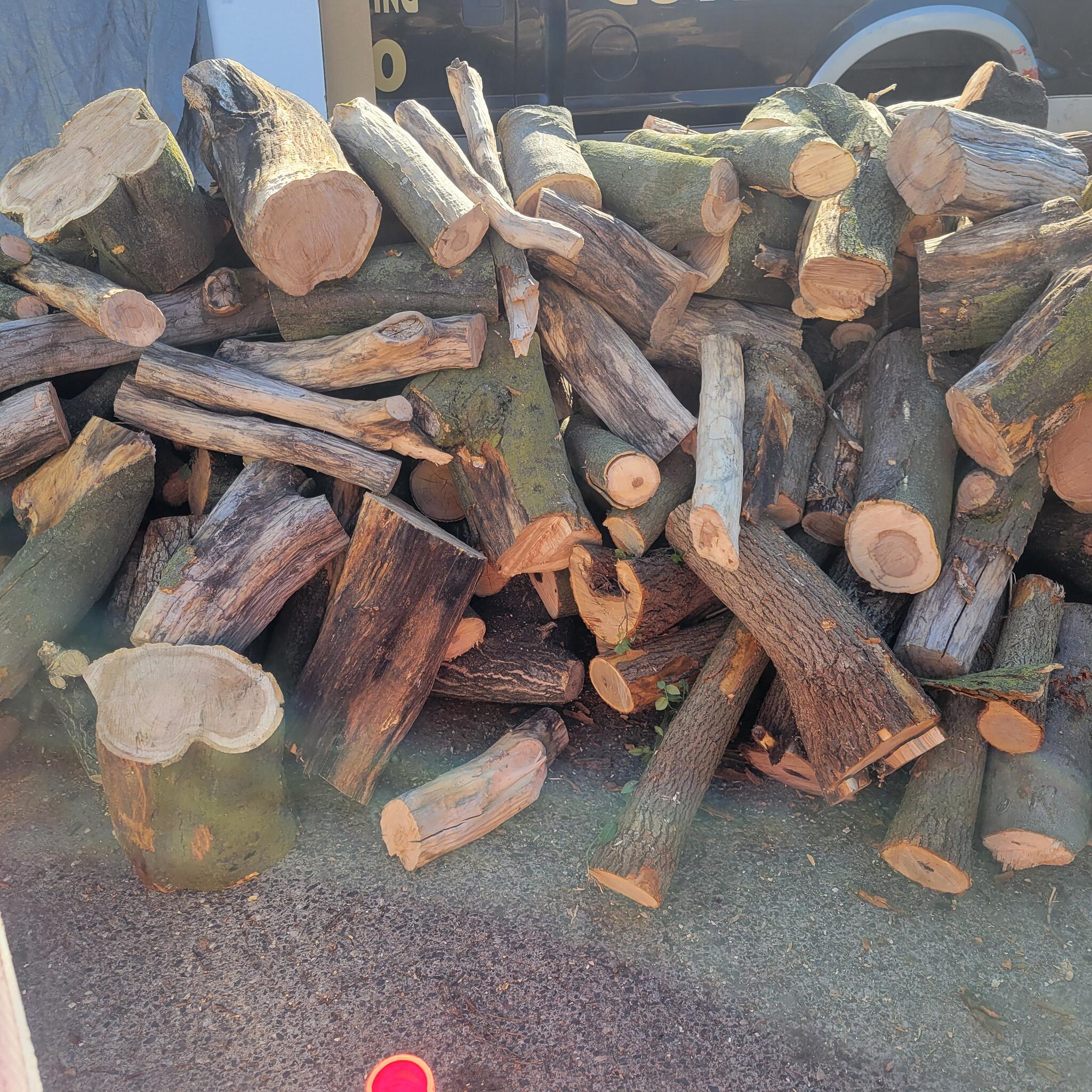 Free Firewood for To Onlyzip Code 19144 For Free In Philadelphia free-firewood-for-to-onlyzip-code-19144-for-free-in-philadelphia