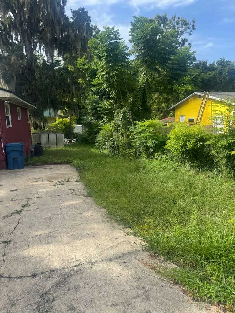 Overgrown driveway edge before lawn service