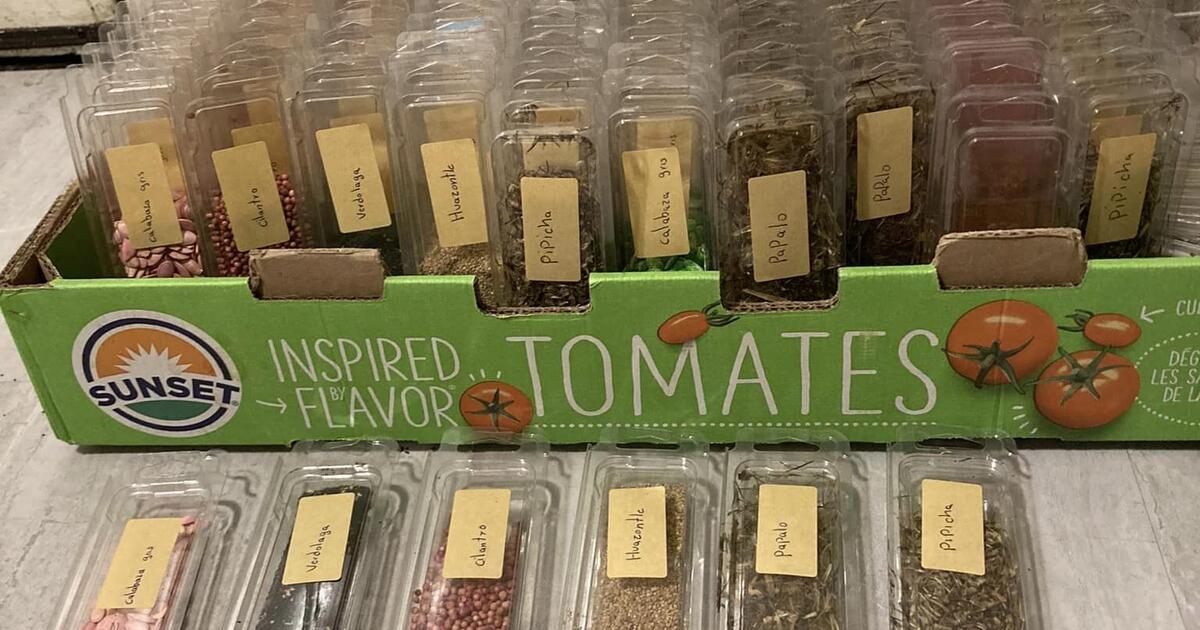 seeds-for-sale-in-madison-wi-for-sale-free-nextdoor