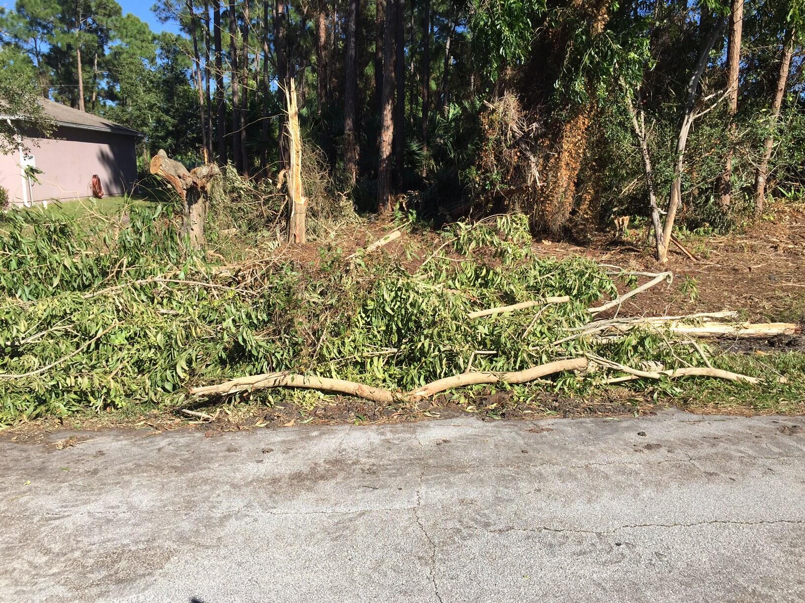 Storm Debris (City of Port St. Lucie) — Nextdoor — Nextdoor
