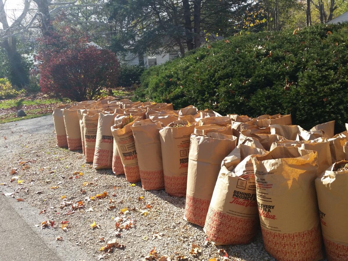 The City of Champaign's final yard waste collection for both the Orange