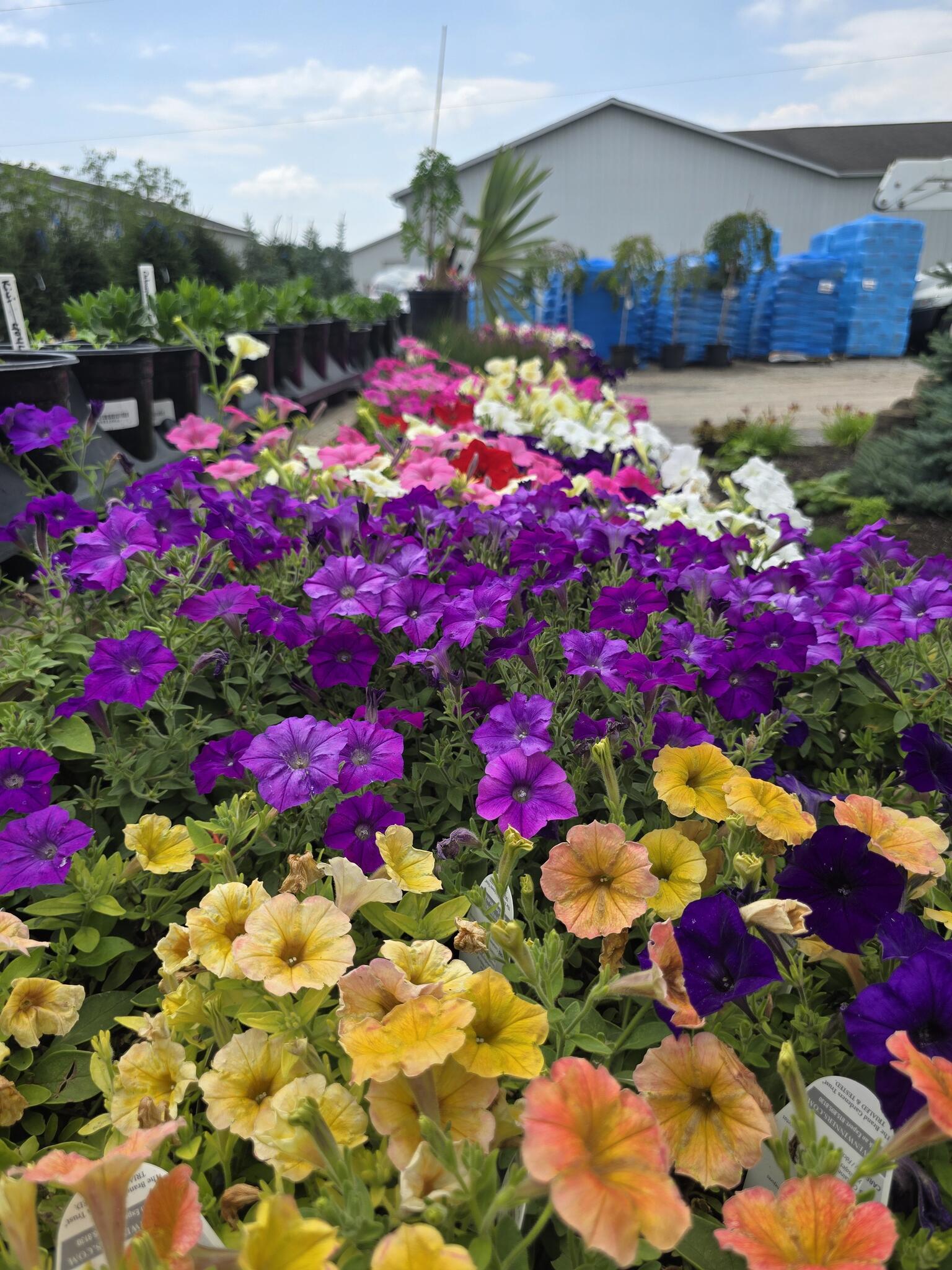 Lawnscape Garden Center - Angola, IN - Nextdoor
