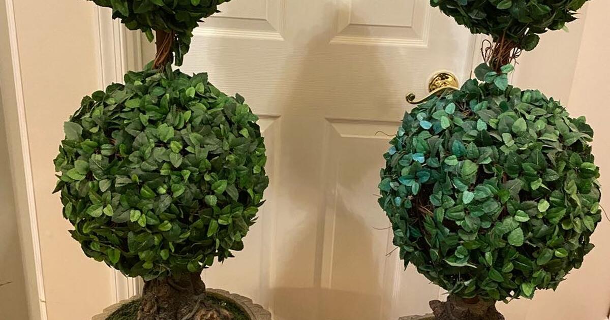 Artificial Ivy Balled Topiary trees for 100 in Charles Town, WV For