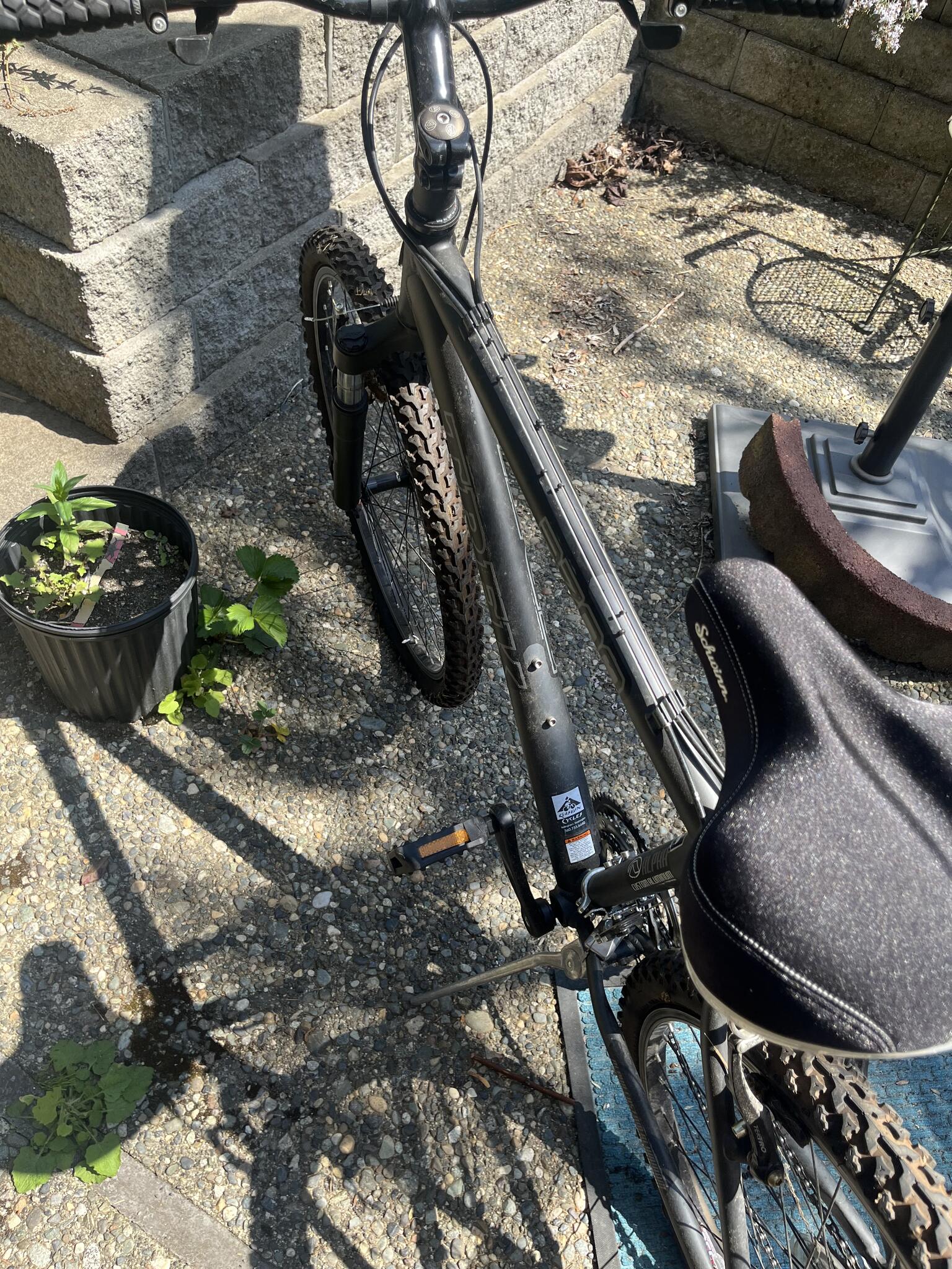 class 3 electric bicycle Lynx Plus 20 Inch Electric Bike with Fat Tires
