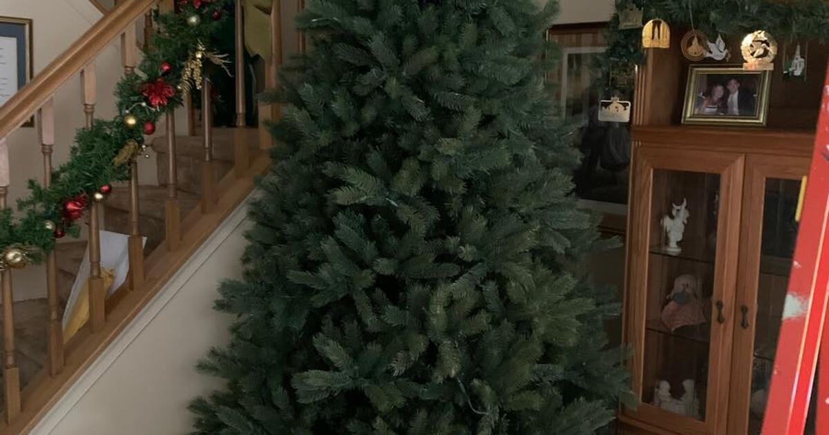 Christmas tree for Free in Collegeville, PA For Sale & Free — Nextdoor