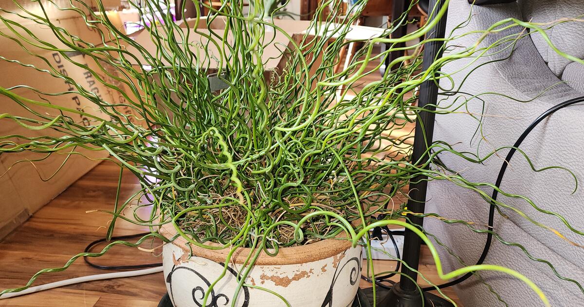 Is Parking Free In Seattle After 8pm