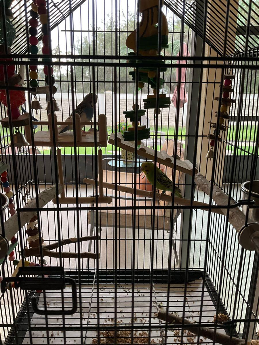 Hillsborough County Falkenburg Dog Pound Arbor Oaks, Brandon