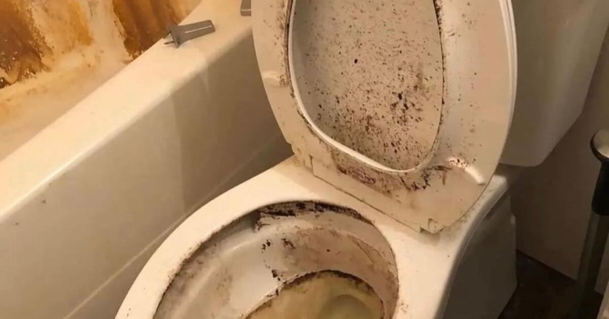 Brightstar housekeeping is for Free in Newark, NJ For Sale & Free