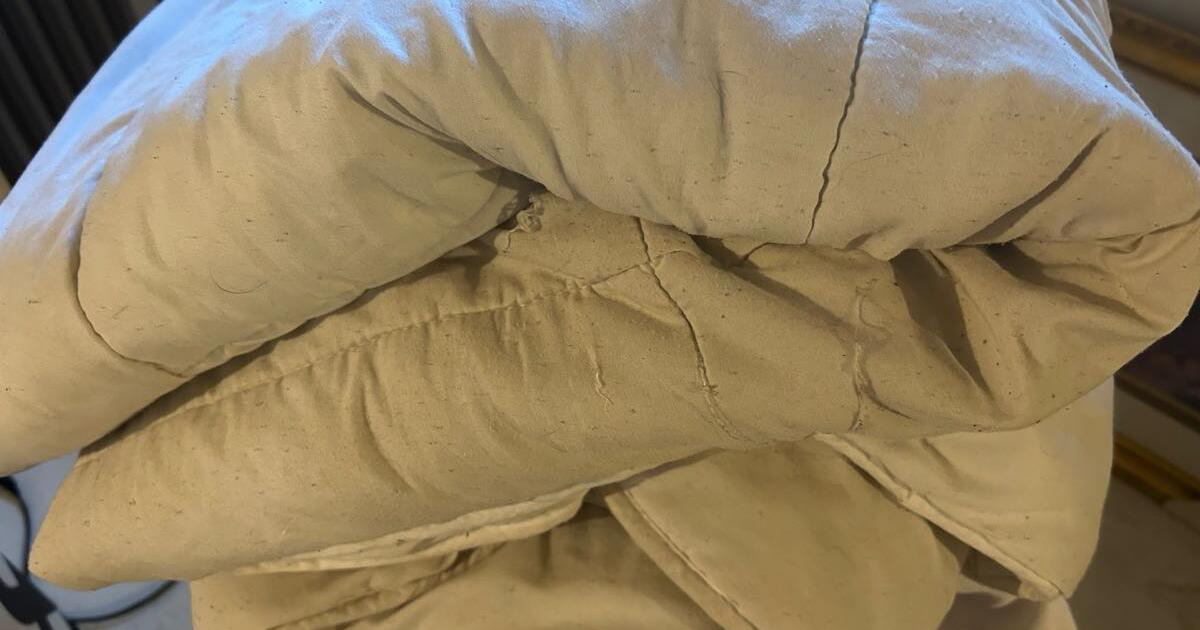 Comforter/pillows for stuffing for Free in Millington, NJ For Sale & Free — Nextdoor