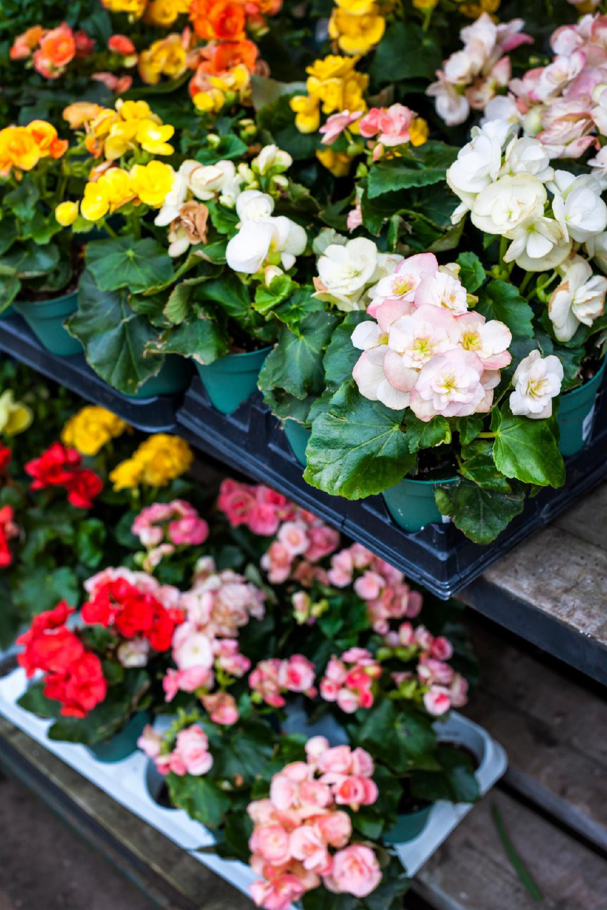 The Darien Woman’s Club & the Darien Historical Society are holding a