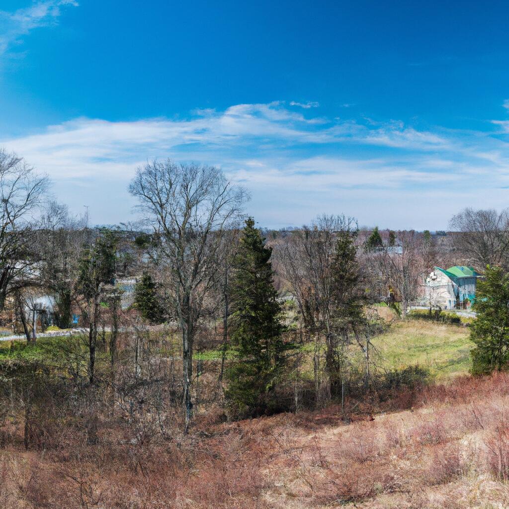 AveryDart Hill, South Windsor News, Crime, Lost Pets, Free Stuff