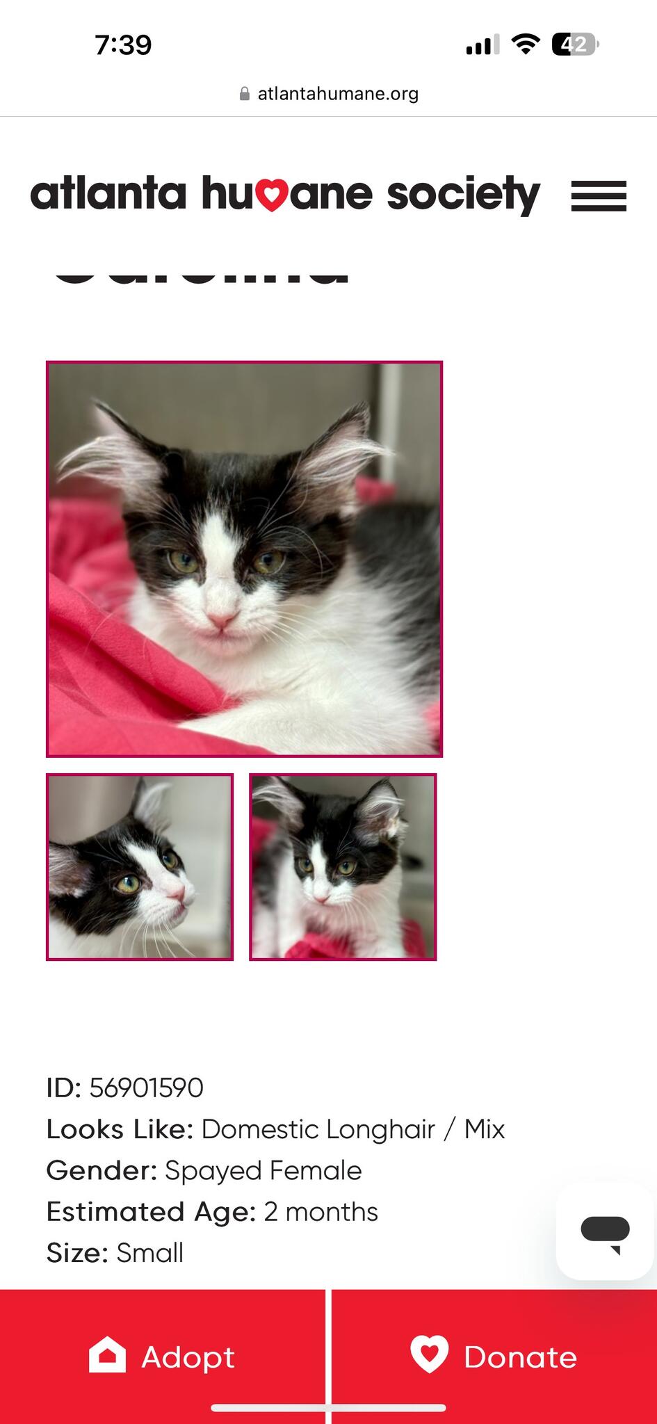 Buck Creek, Covington Everything You Need to Know