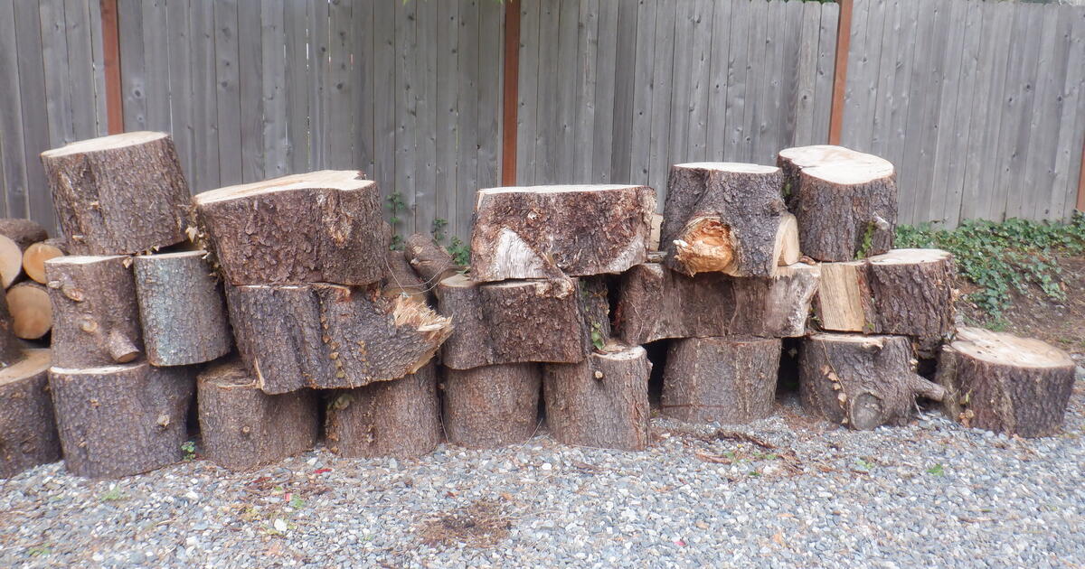 Free to a good (home), wood stove or fireplace. for Free in Issaquah