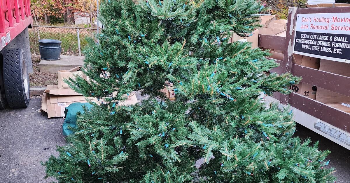 Beautiful Christmas Tree for 30 in Havre De Grace, MD For Sale & Free — Nextdoor