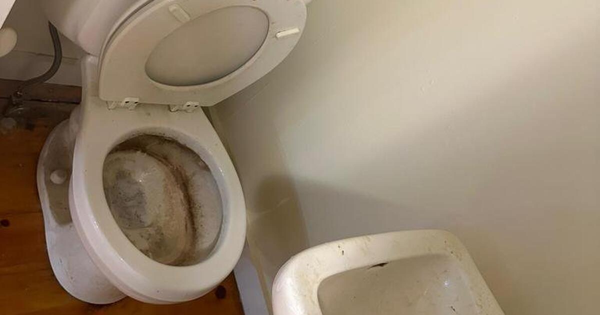 Anna's Cleaning 🧹🪣 for Free in Goshen, NY Finds — Nextdoor