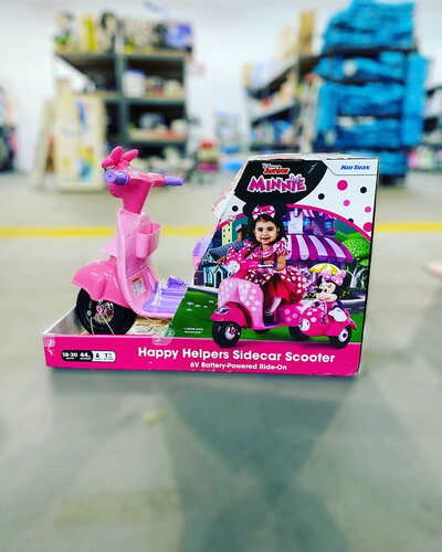 Happy helpers 2024 sidecar scooter walmart