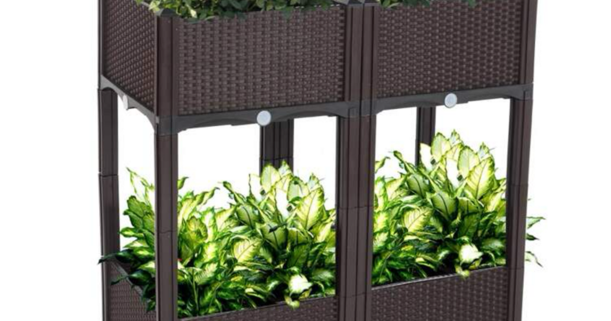 Plant bed for 100 in Louisville, KY For Sale & Free — Nextdoor