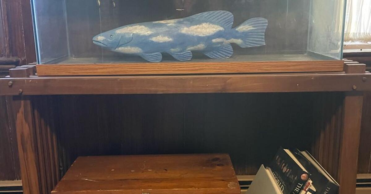 Aquarium for Free in Providence, RI For Sale & Free — Nextdoor