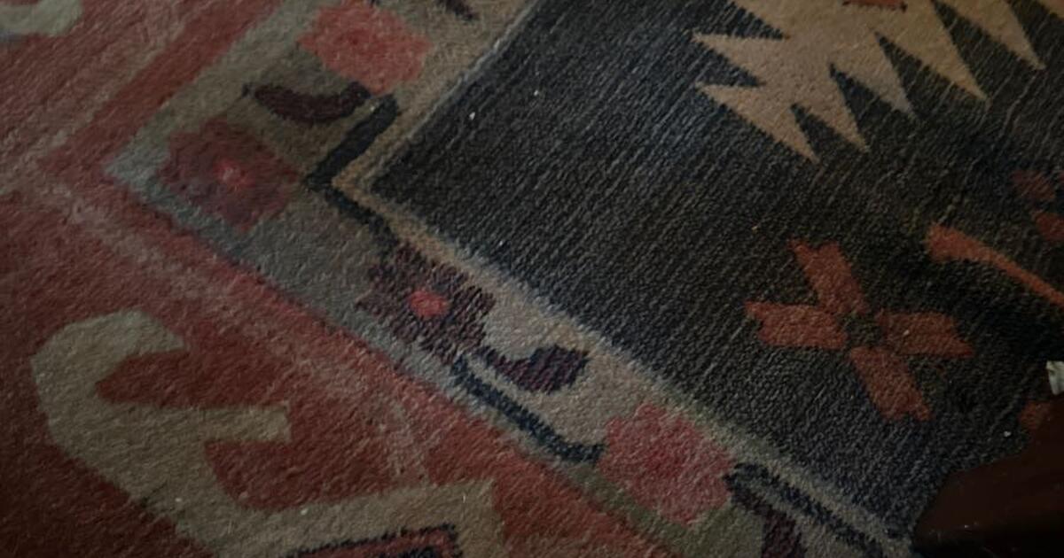 Dogs To Give Away For Free Near Me Dogs To Give Away For Free Near Me