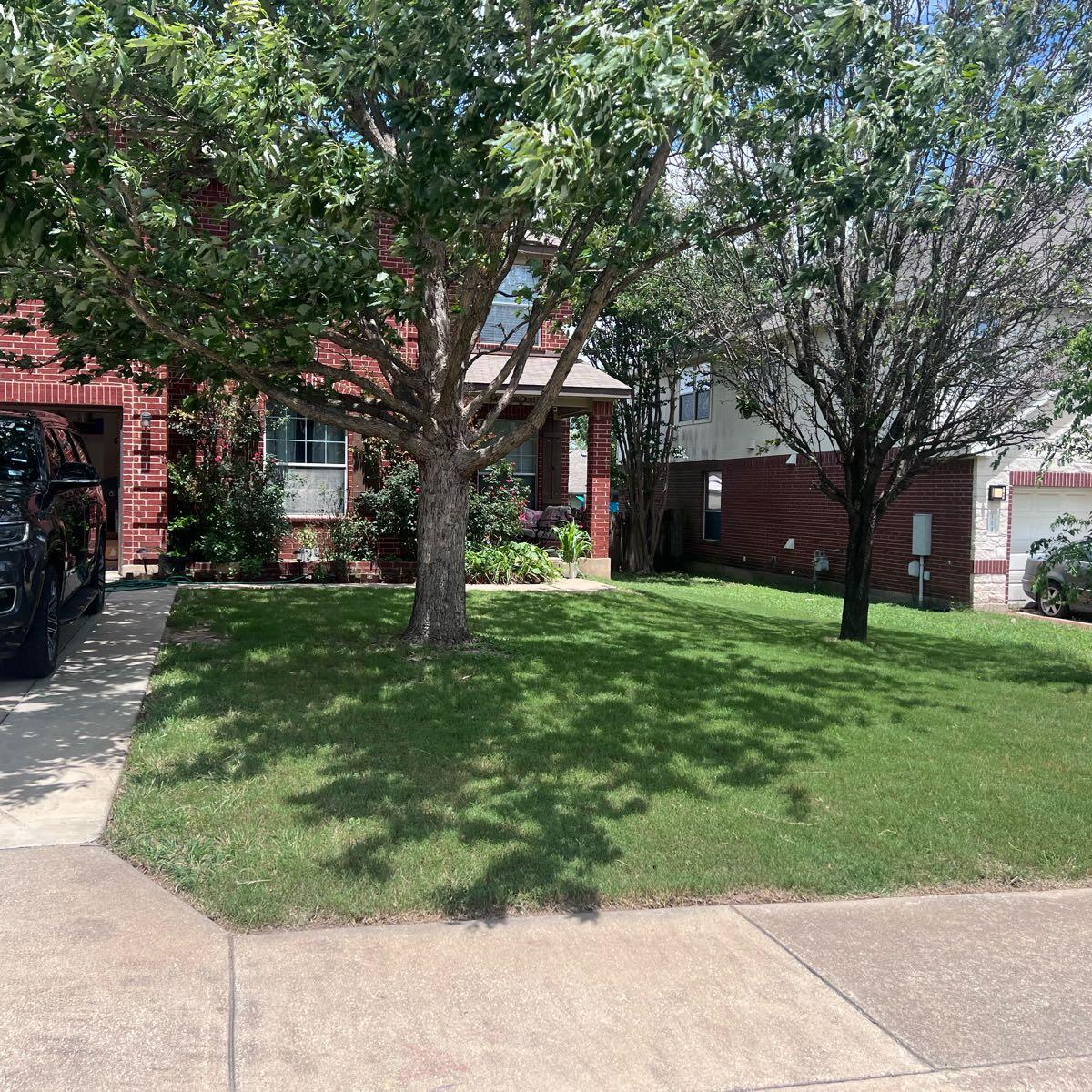 Localized Grass Adam’s lawn Service’s - Kyle, TX - Nextdoor