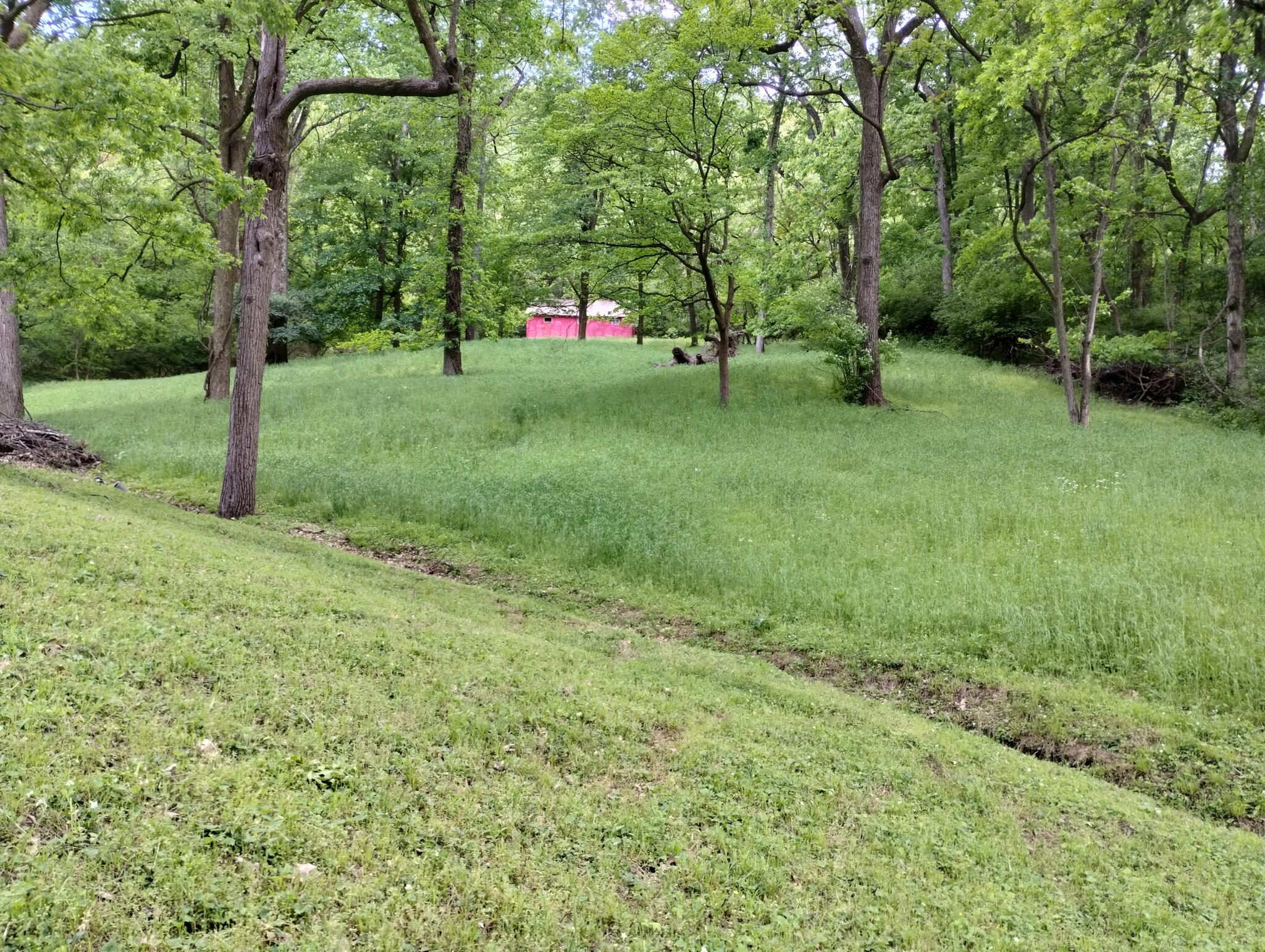 landscaping for 70 in Pleasant View, TN For Sale & Free — Nextdoor