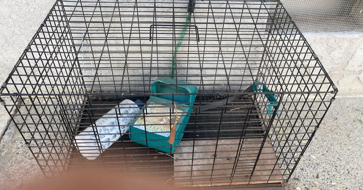 Rabbit/ mammal cage for FREE for Free in Lodi, CA | For Sale & Free ...