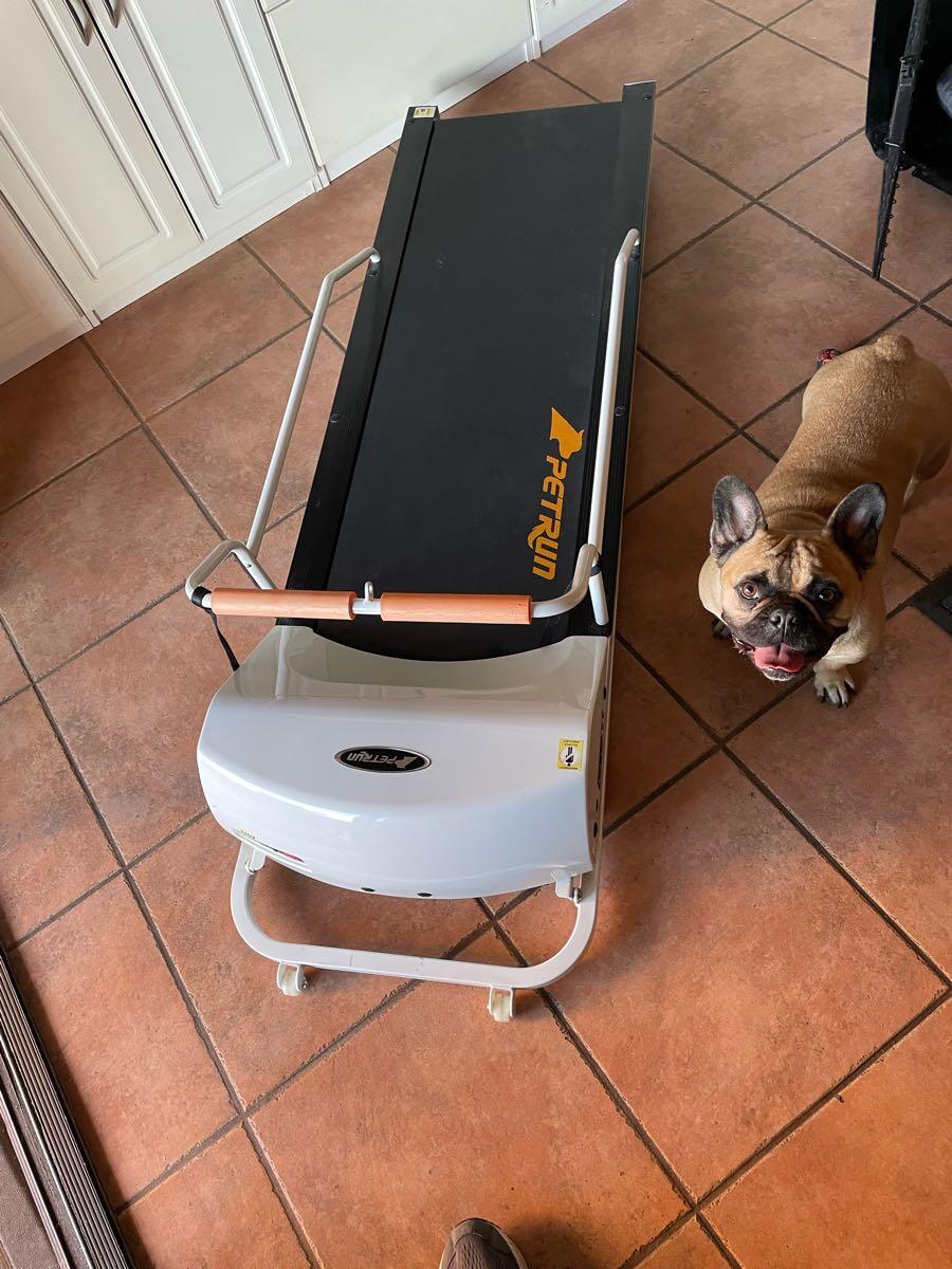 Petrun GoPet Dog Treadmill for 245 in Green Valley, AZ For Sale